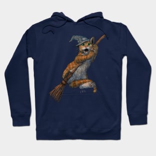 Funny Cat Witch Falling off a Broom Hoodie